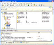 Registry Workshop screenshot